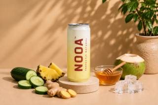 PINATOX 330ML